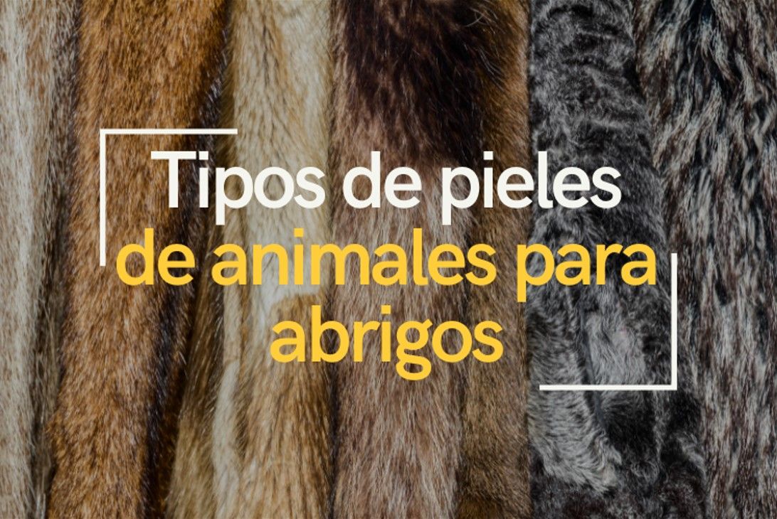 Tipos de pieles de animales para abrigos